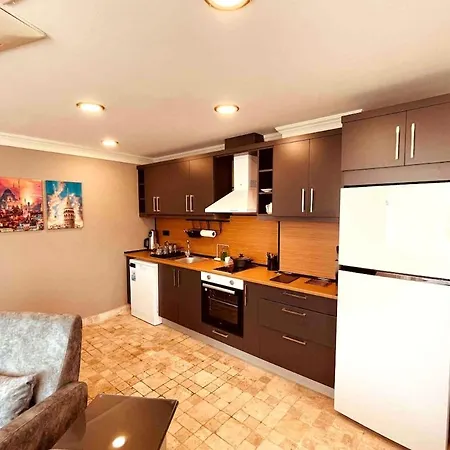 Modern , Two Bedroom And Livingroom On Main Street Apartment